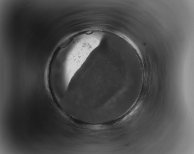 X0000087561045200705181121
