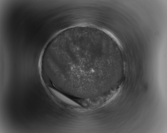 X0000087561046200705181121