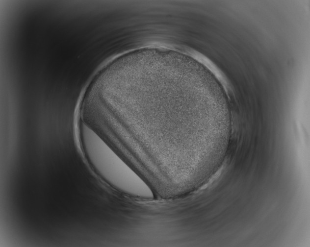 X0000087561048200705181121