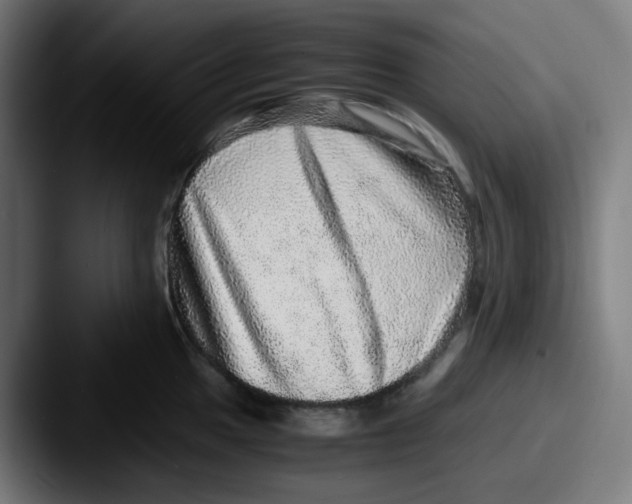 X0000087561049200705181121