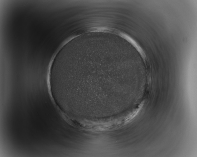 X0000087561050200705181121