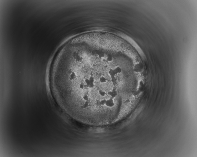 X0000087561051200705181121