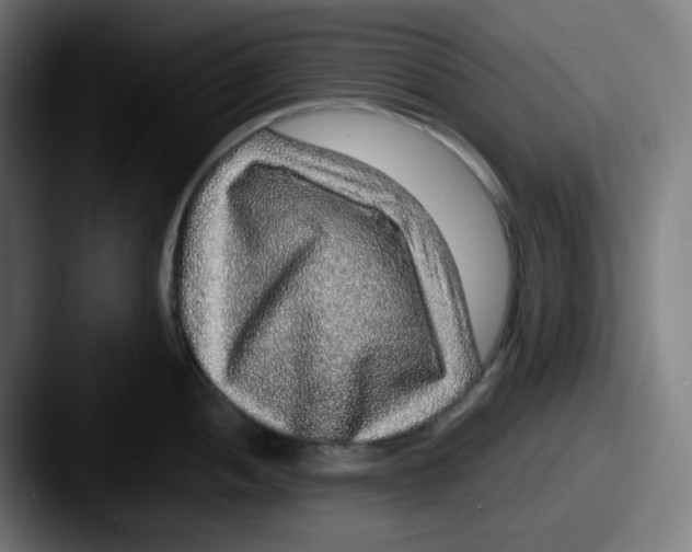 X0000087561052200705181121