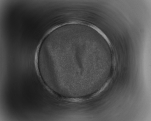 X0000087561053200705181121