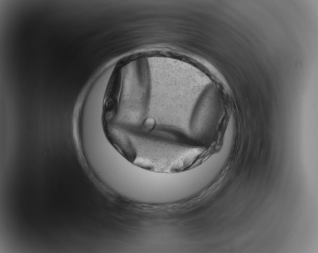 X0000087561054200705181121
