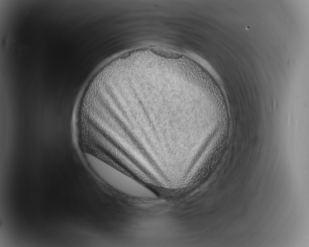 X0000087561056200705181121