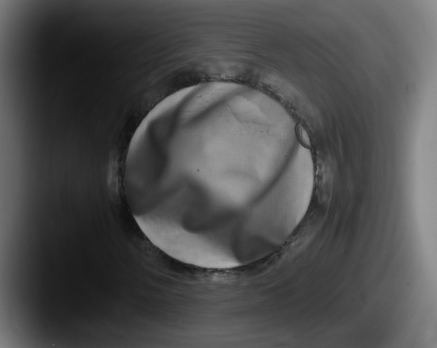 X0000087561058200705181120