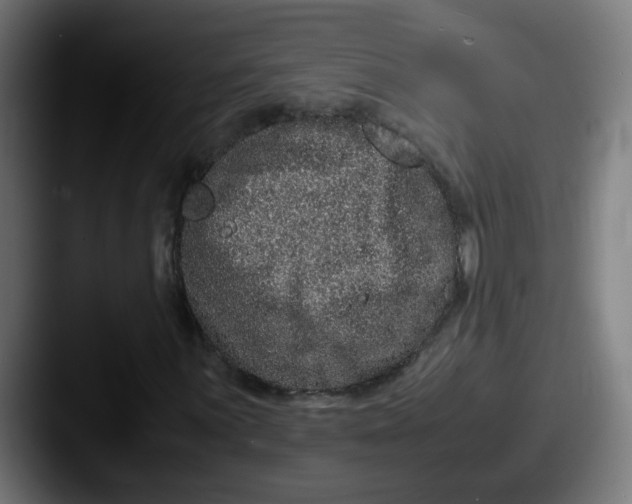 X0000087561059200705181120