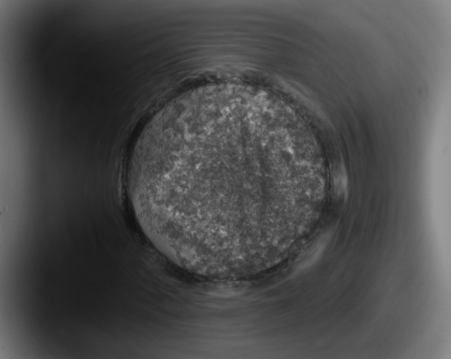 X0000087561060200705181120