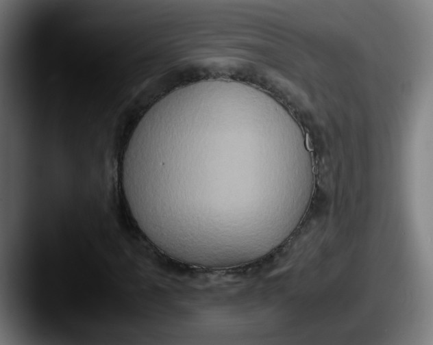 X0000087561061200705181120