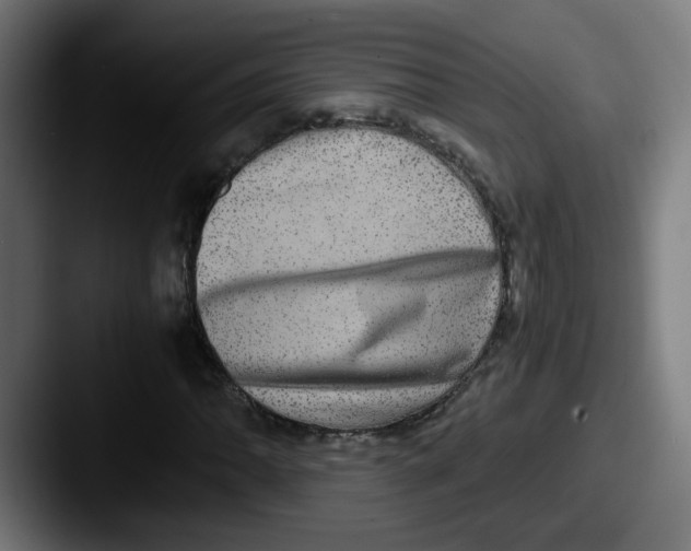 X0000087561062200705181120