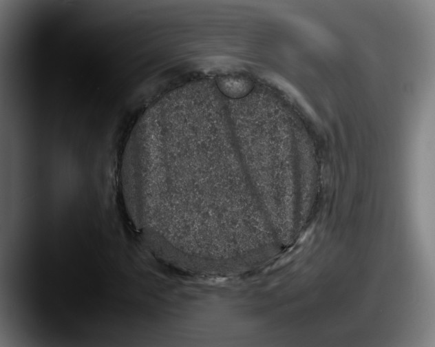 X0000087561063200705181120