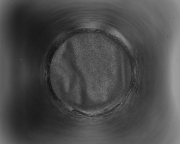 X0000087561064200705181120