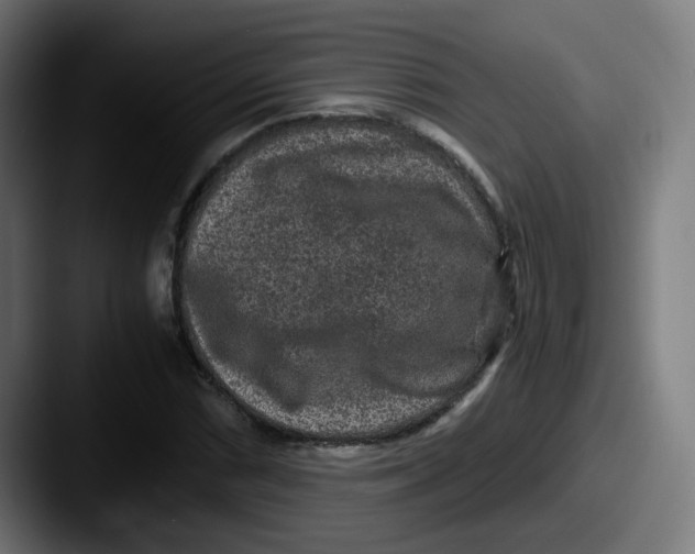 X0000087561066200705181120