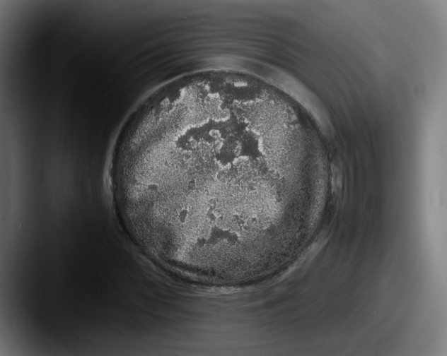 X0000087561068200705181120