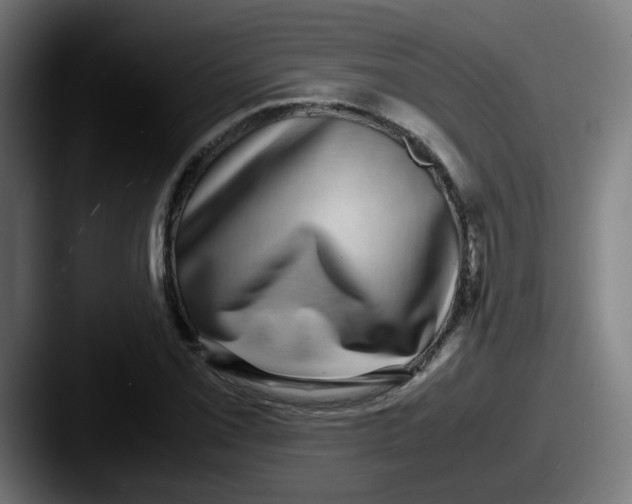 X0000087561069200705181120