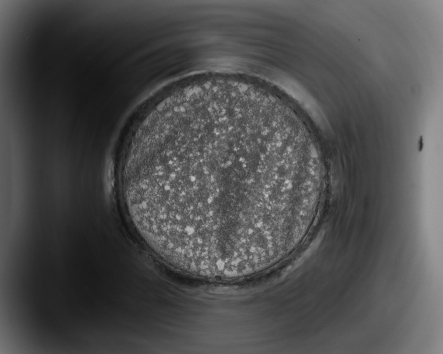 X0000087561070200705181120