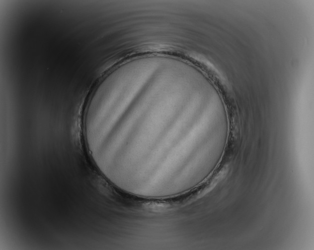 X0000087561073200705181120