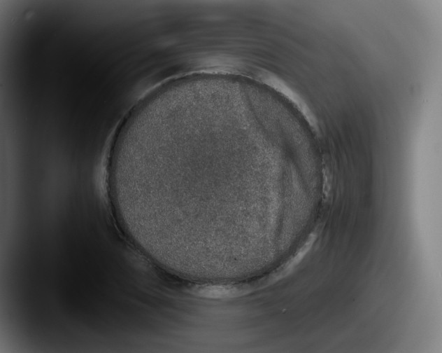 X0000087561074200705181120
