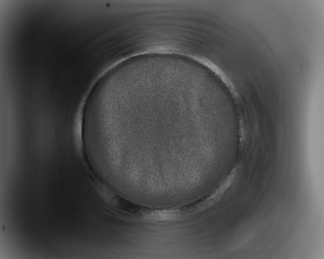 X0000087561078200705181120