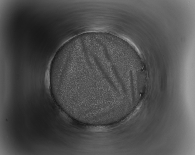 X0000087561079200705181120