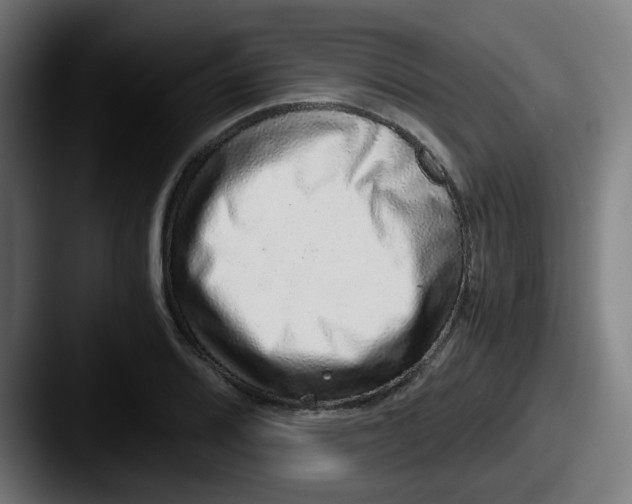 X0000087561080200705181120