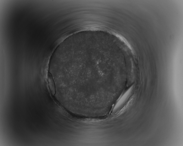 X0000087561081200705181120