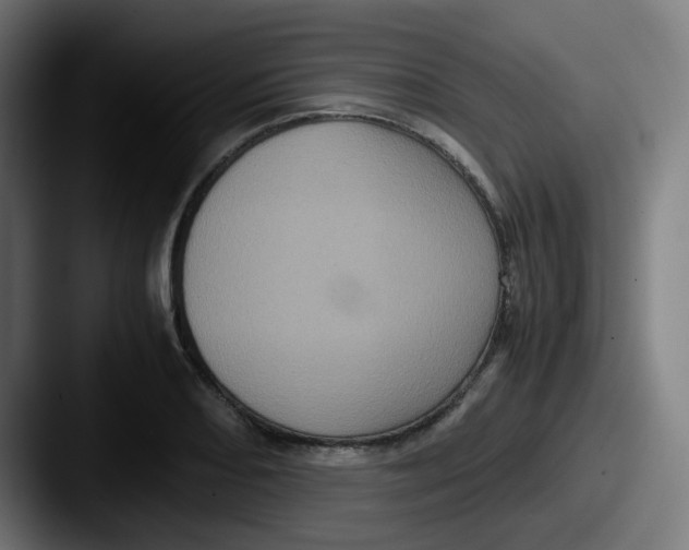 X0000087561082200705181120