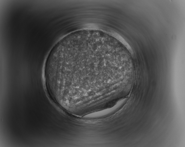 X0000087561084200705181120