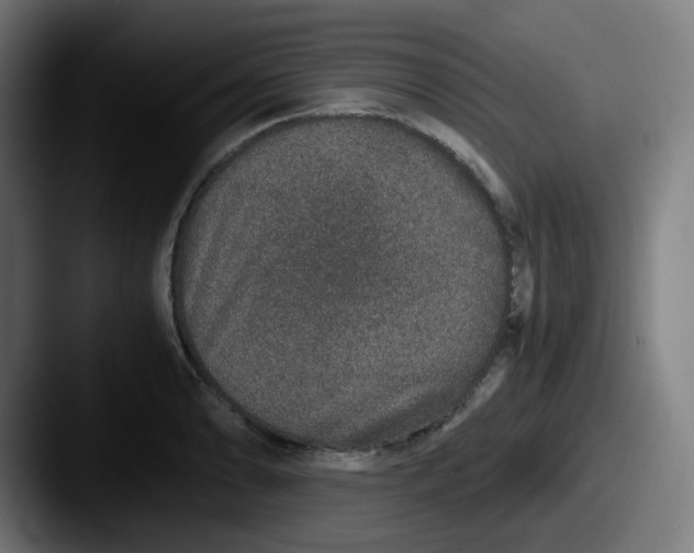 X0000087561086200705181120