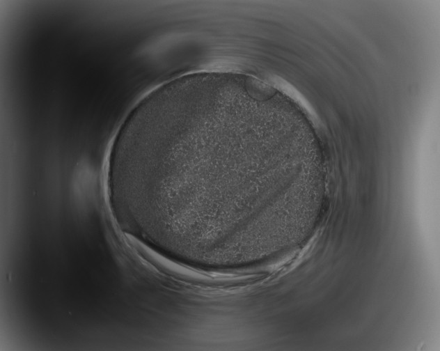 X0000087561087200705181120