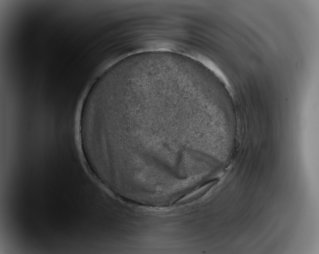 X0000087561088200705181120