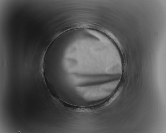 X0000087561089200705181120