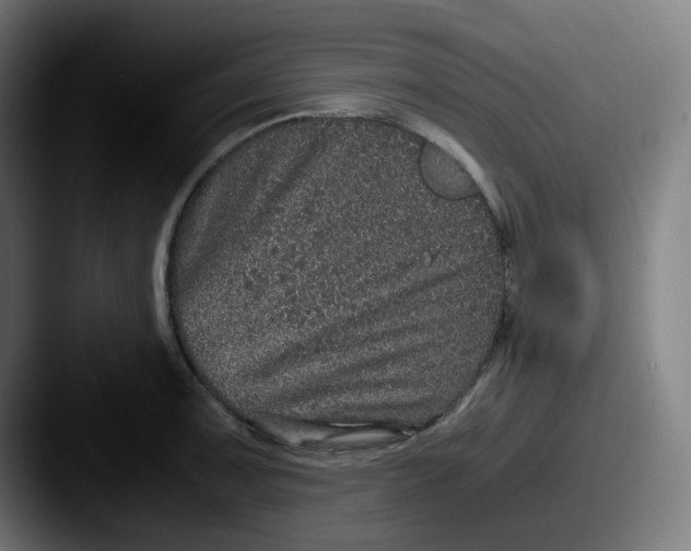 X0000087561091200705181120