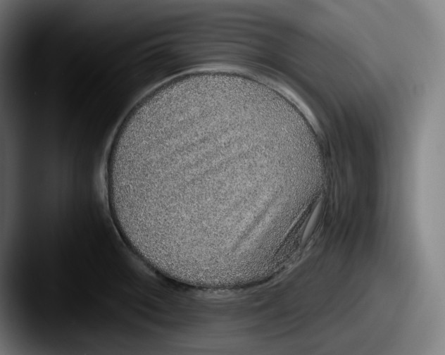 X0000087561092200705181120