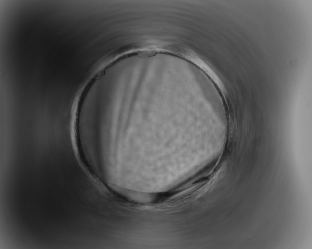 X0000087561093200705181120