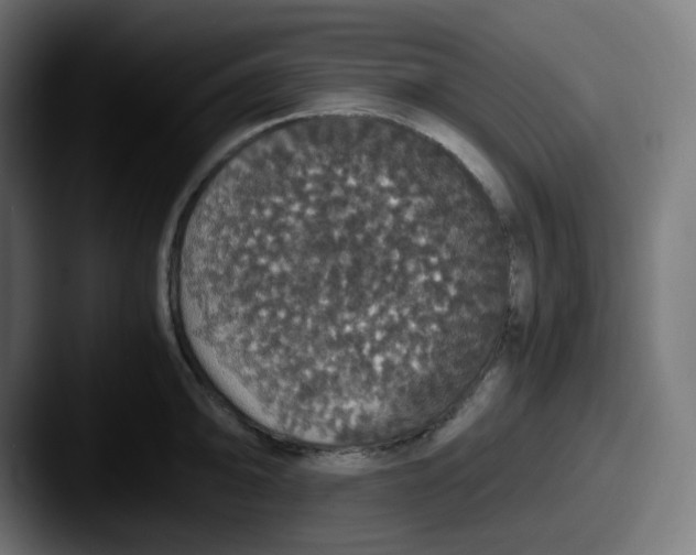 X0000087561094200705181120