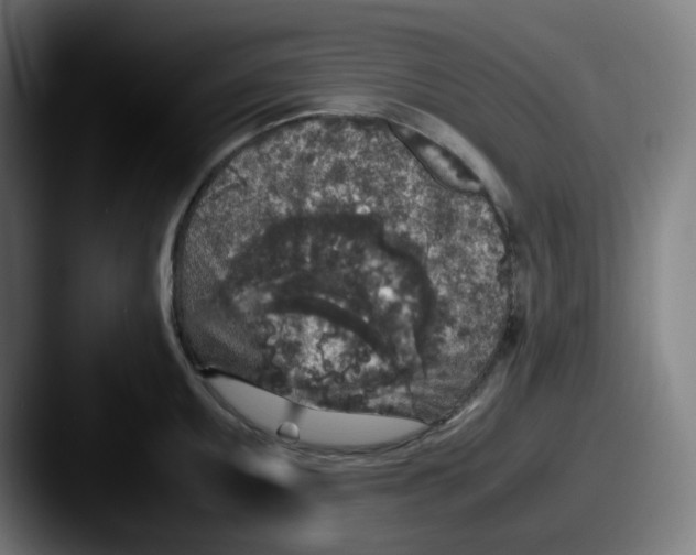 X0000087561095200705181120