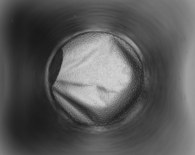 X0000087561096200705181120