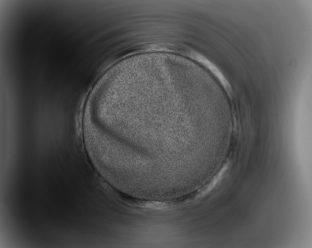 X0000087561097200705181120