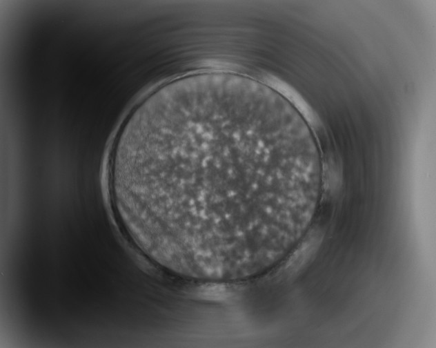 X0000087561098200705181120