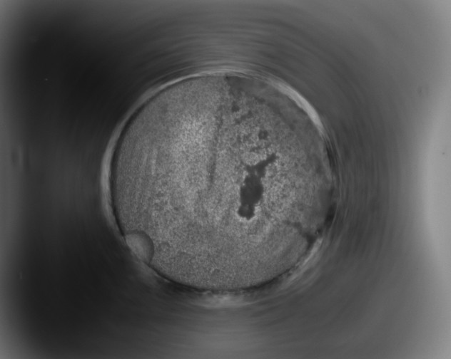 X0000087561099200705181120