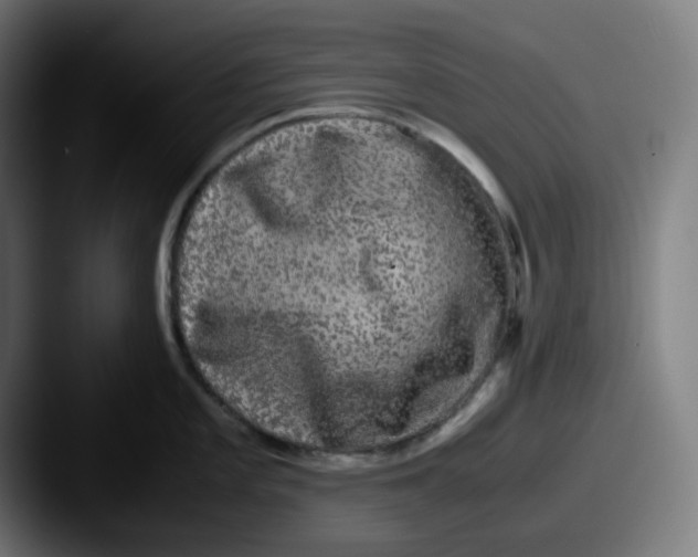 X0000087561101200705181120
