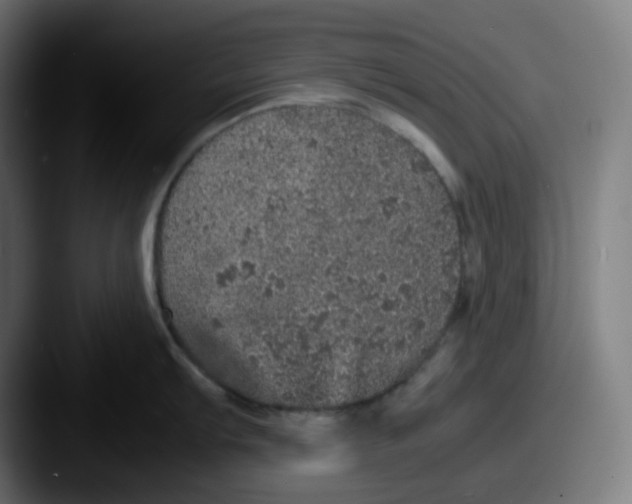 X0000087561103200705181120