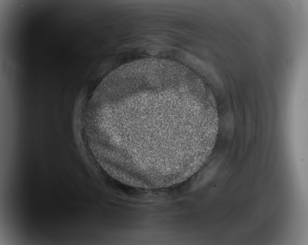 X0000087561105200705181119