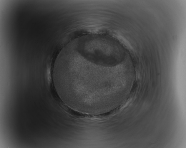 X0000087561106200705181119