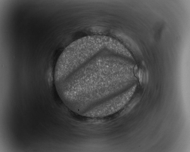 X0000087561107200705181119