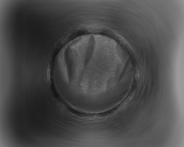 X0000087561108200705181119