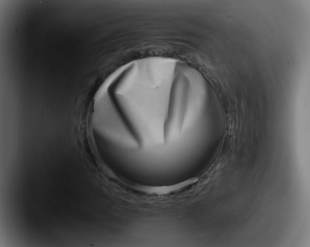 X0000087561109200705181119