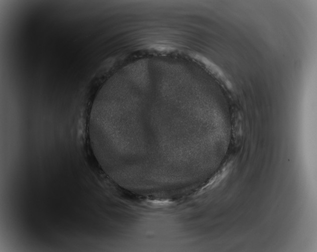 X0000087561110200705181119